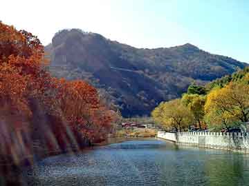 天天彩好彩天天免费，塑胶地砖